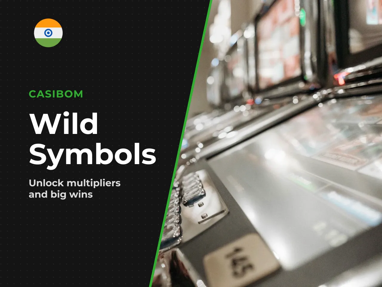 Wild Symbol and Win Multipliers. The