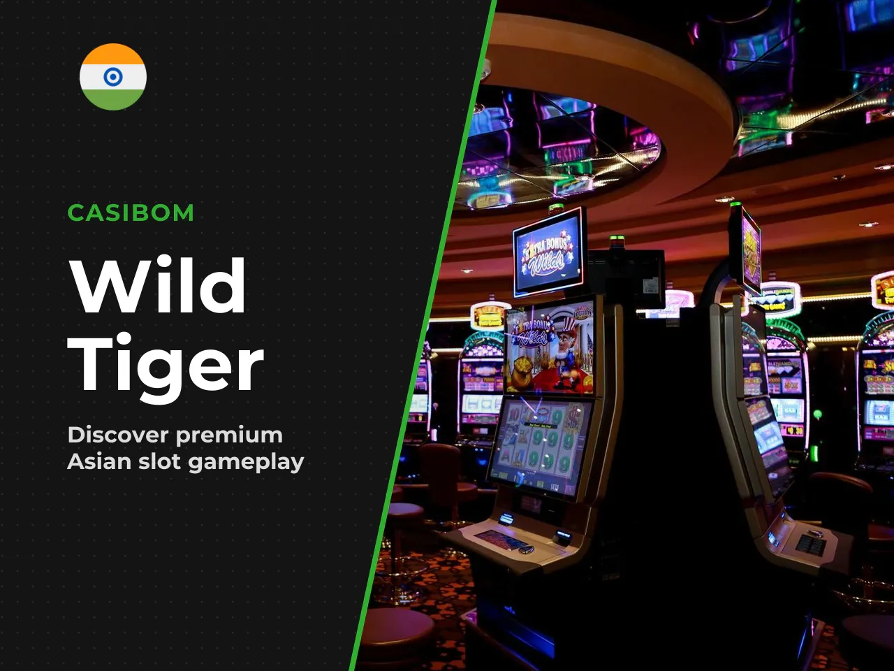 What Is Wild Tiger and What