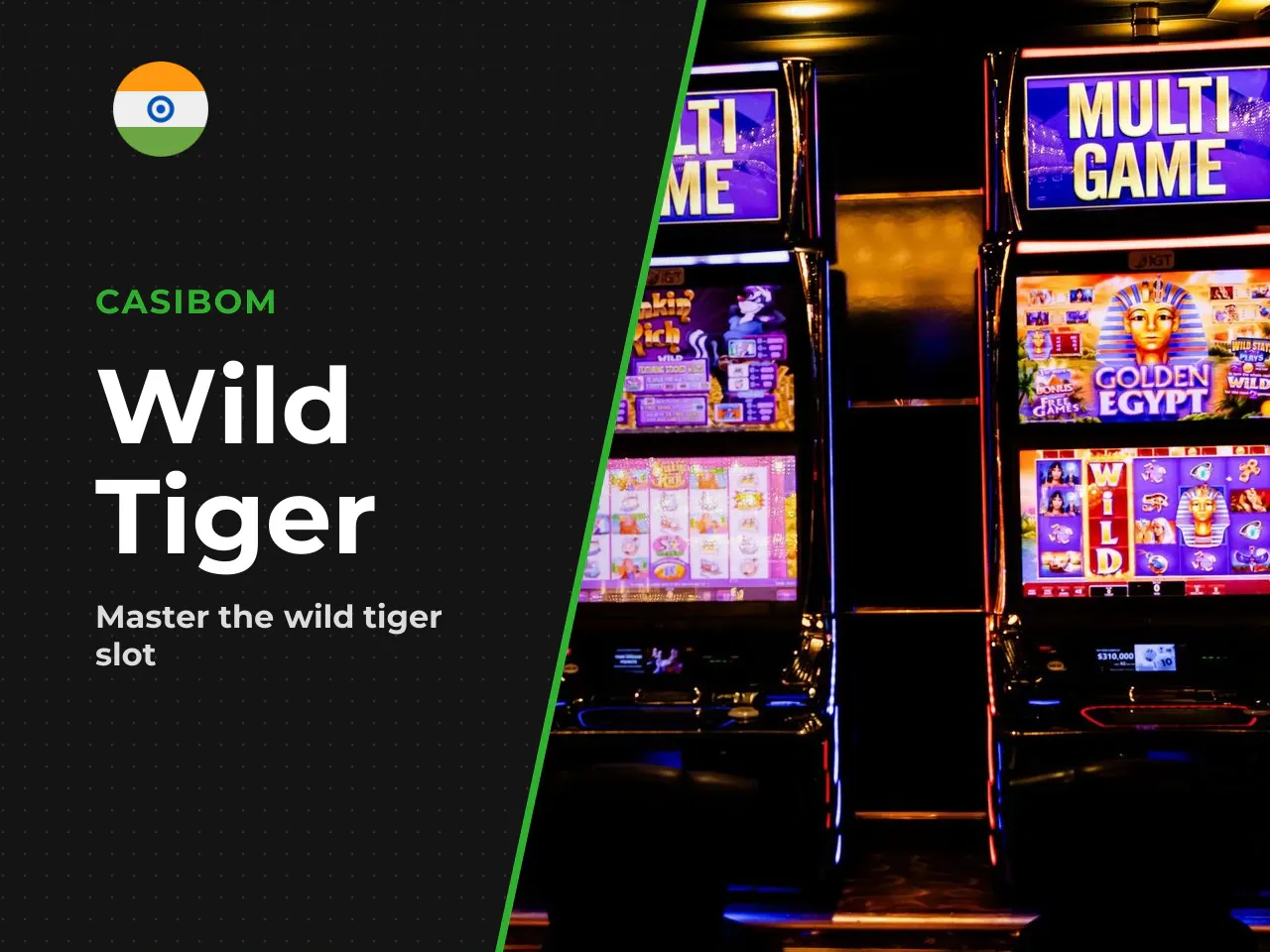 Wild Tiger by BGaming Game Type